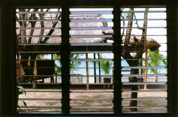Photo of view out the dining room window